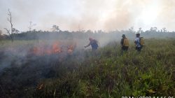 Cegah Karhutla Wilayah Desa Pembedilan, Kades Bangun Kerjasama Dengan Para Pihak