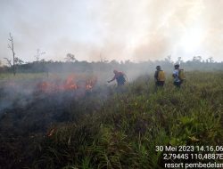 Cegah Karhutla Wilayah Desa Pembedilan, Kades Bangun Kerjasama Dengan Para Pihak