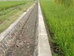 Pemkot Banjar dan PT. Asuransi Jasindo Siap Ganti Rugi Petani Gagal Panen