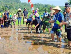 Inovasi Anjani Merakit Gamis Ajarkan Anak di Ciamis Bertani Sejak Dini