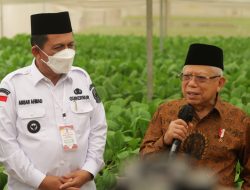 Wakil Presiden RI dan Gubernur Kepri Tinjau Pusat Pertanian Modern di Batam