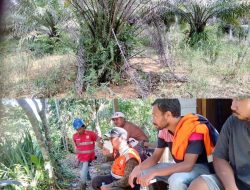 Kebun Dan Lahan Masyarakat Rusak, LSM AMPUH Akan Laporkan PT CMI Dan PT JUS