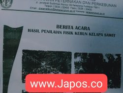 Terkait Tuntutan Kopbun LJMS, Begini Tanggapan PT AJB Ketapang