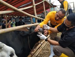 Disnakkan Ciamis Gencar Lakukan Pemeriksaan Hewan Qurban