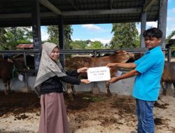 PT AWB Berikan Bantuan Sapi Korban Melalui Dinas Sosial Kabupaten Dharmasraya