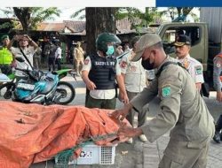 Satpol PP Kabupaten Pasuruan Bersama TNI-Polri Gelar operasi Penertiban PKL dan Parkir Liar di Pasar Bangil