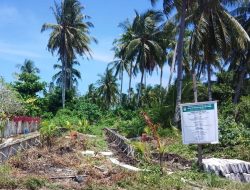 Tanpa Musdes, Muscam dan Tanpa surat Hibah Tanah, Proyek Barau CV Trimarco Ketapang Diduga Bermasalah