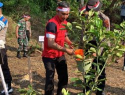 Ketua DPRD, Kapolda, Korem 042 Jambi Melakukan Tanam Bibit Pohon di Danau Sipin