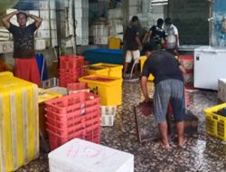 Populasi Lobster di Laut Pangandaran Terus Menurun