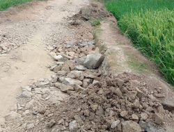 Pembangunan Fisik DD di Desa Sukamulya – Cikeusik Disoal, TPK Diduga Tidak Difungsikan