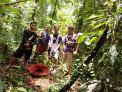 Empat Pemuda Temukan Bunga Raflesia Tumbuh Mekar di Hutan