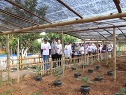 Hari Tani Nasional Warga Kembangan Bersama OMG Wujudkan Agro Edukasi Wisata