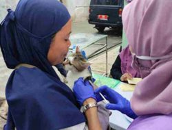Peringati Hari Rabies Sedunia Disnakkan Ciamis Sediakan 700 Vaksin untuk Hewan Peliharaan
