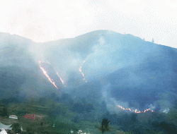 Pegunungan Kawasan Danau Toba di Sianjur Mula Mula Terbakar