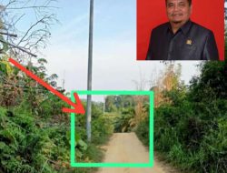 Proyek Pemasangan Tiang PLN di Atas Badan Jalan Jadi Sorotan, Samuel : Anggota DPRD Ketapang Angkat Bicara