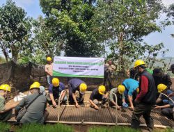 Perhutani Bandung Utara Laksanakan Tabur Benih Pinus di Burangrang Selatan