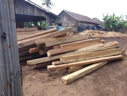 H Suma: Hampir Semua Pemilik Sawmill dan TPK Serta Pengusaha Kayu di Ketapang Tak Berizin