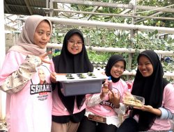 Gandeng Alisa Farm, Srikandi Ganjar Latih Perempuan Milenial Cara Budi Daya Sayur Hidroponik
