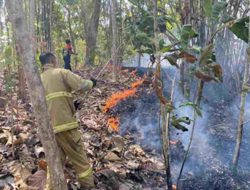 Damkar Ciamis Mencatat 88 Peristiwa Kebakaran Selama Musim Kemarau di Ciamis