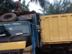 Oknum Sopir Truk Vendor PTPN4, Diduga Kerap Kurangi Isi Tonase Truk