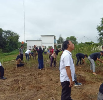 Kampung Bandar Dalam Bersama Mahasiswa KKN Unila Lakukan Pembudidayaan Tanaman dan Sayur sayuran