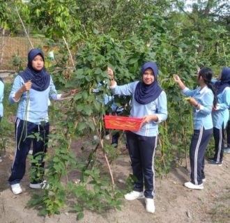 PIA Ardhya Garini Cab11/DI Antusias Panen Sayur Mayur di Lahan Ketahanan Lanud H AS Hanandjoeddin