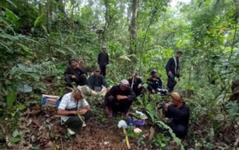 Kuasa Hukum Faber Buka Suara Soal Penangkapan 4 Orang Yang Diduga Lakukan Illegal Logging di Pangandaran