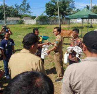 Peternak Pangandaran Dapat Bantuan Puluhan Sapi dan Domba Garut