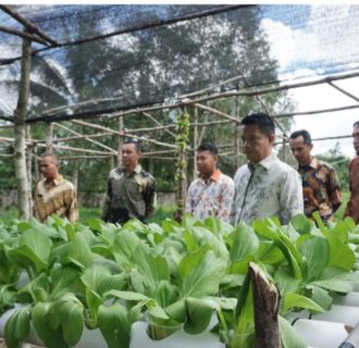 Lapas Tanjungpandan Panen Hasil Pertanian Hidroponik