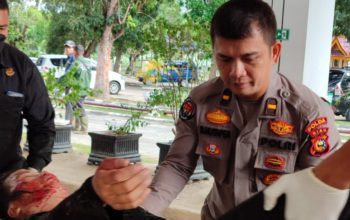 Perwira Bidang Humas Polda Riau Selamatkan Nyawa Wanita  Korban Kecelakaan