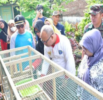 Pj Wali Kota Banjar Pantau Gerakan Pemberantasan Sarang Nyamuk