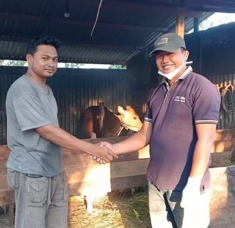 Penyuluhan PMK Pada Hewan Ternak di Mulia Kerta, Abdullah Kani Saragih: Virus Ini Sangat Menular