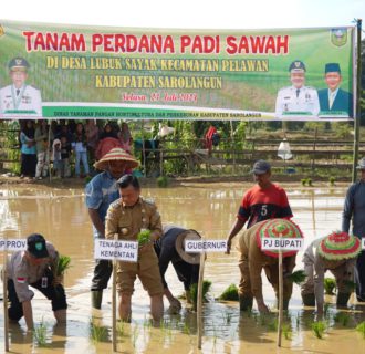 Gubernur Al Haris: Menanam Padi Merupakan Salah Satu Aksi Nyata Untuk Menekan Inflasi