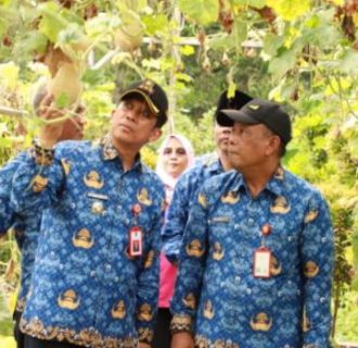 Pj Bupati Tangerang Apresiasi Inovasi Kelompok Wanita Tani dan Tinjau Budidaya Hidroponik