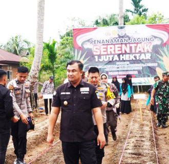Dharmasraya Dukung Ketahanan Pangan: Sutan Riska Tanam Jagung 1 Juta Hektare Bersama Forkopimda
