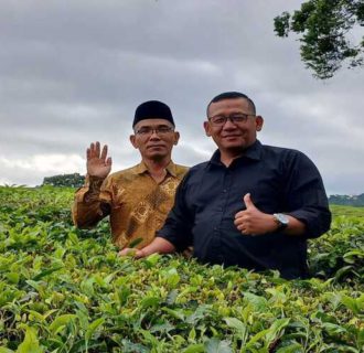 Bantu Pemulihan Lingkungan dengan Dukungan APBD dan Corporate Social Responsibility, Perkumpulan Marsipature Huta Nabe Sumut akan Tanam Pohon 