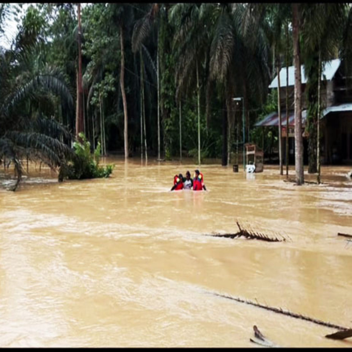 Banjir Kepung Nagari Timpeh, Bupati Dharmasraya Annisa Suci Rahmadhani Imbau Warga Tetap Waspada