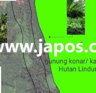 Perambahan Hutan Lindung Gunung Konar Secara Masif Jadi Perkebunan Sawit Diduga PT. PTS Ketapang Jadi Rantai Pasok TBS Produksi CPO