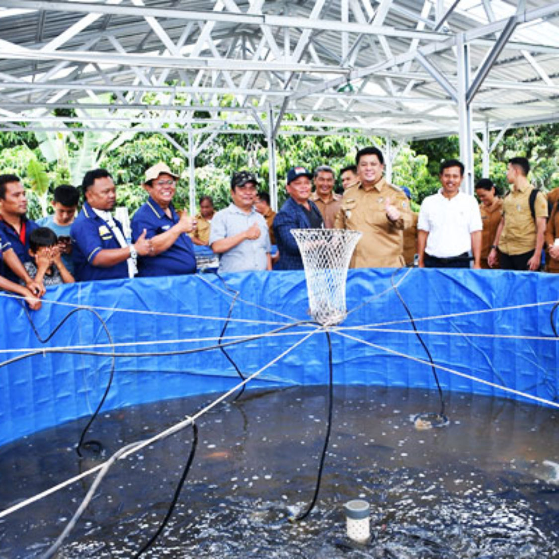 Bupati Samosir Panen Perdana Ikan Nila Pokdakan Mekar