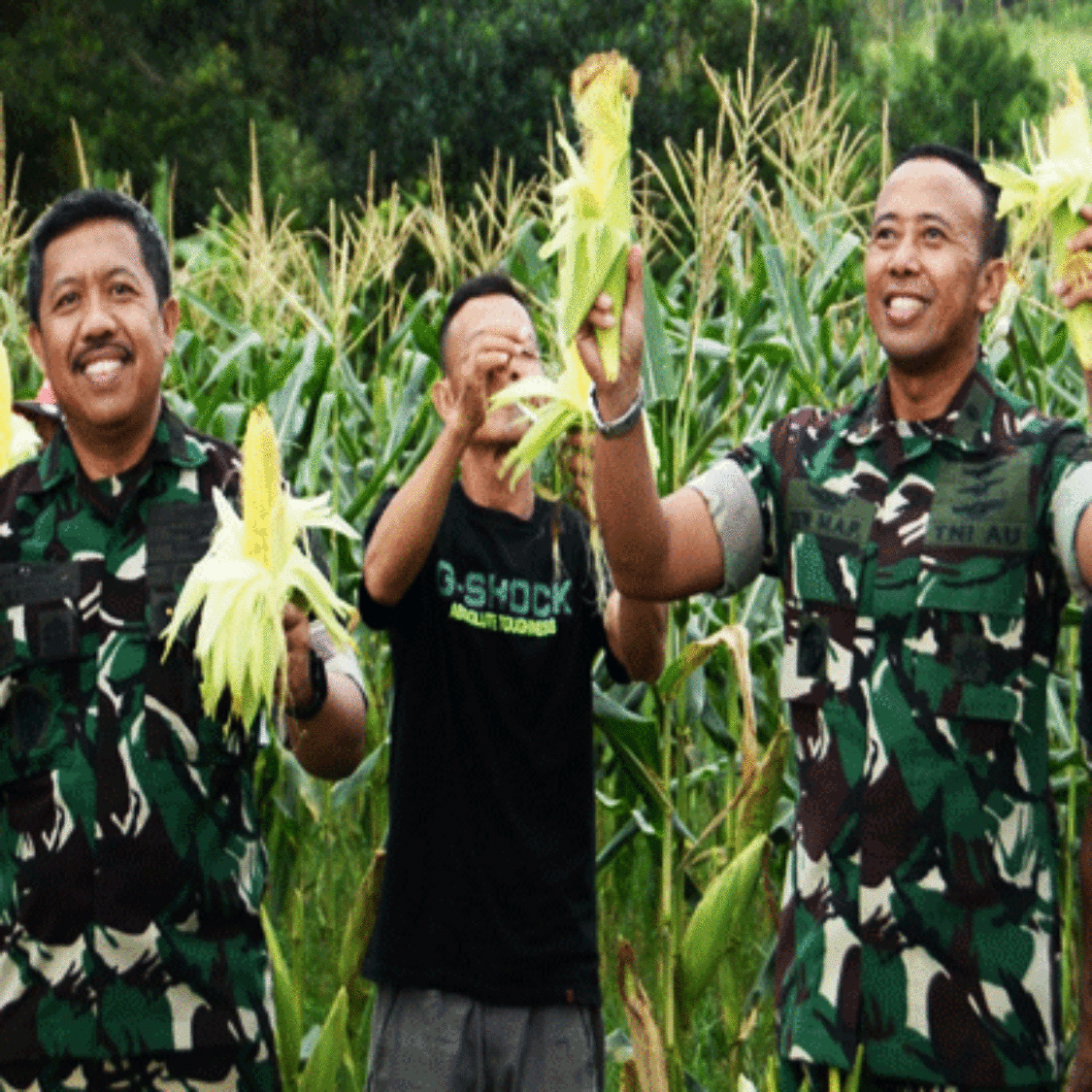 Jelang Latihan Jalak Sakti dan Hardha Marutha I, Pangkoopsud I Tegaskan Komitmen TNI AU Dukung Ketahanan Pangan Nasional