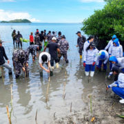 Lanal Tolitoli dan PT Inti Karya Vaname Tanam 1.500 Bibit Mangrove di Pesisir Kapas