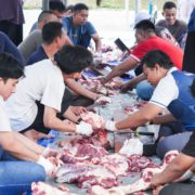 Wujudkan Sinergi Kemanfaatan Kurban, Bakrie Amanah Tebar 440 Hewan Kurban