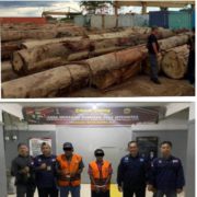 Gakkum Kehutanan Tindak Peredaran Ratusan Kubik Kayu Bulat Ilegal di Ketapang