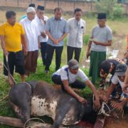 NU Deli Serdang Sembelih 5 Ekor Sapi dan 2 Ekor Kambing Qurban di Hari Raya Idul Adha 2025