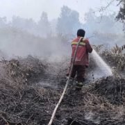 20 Hektare Lahan Gambut Terbakar di Kampar, Tim Gabungan dan Helikopter Dikerahkan Padamkan Api